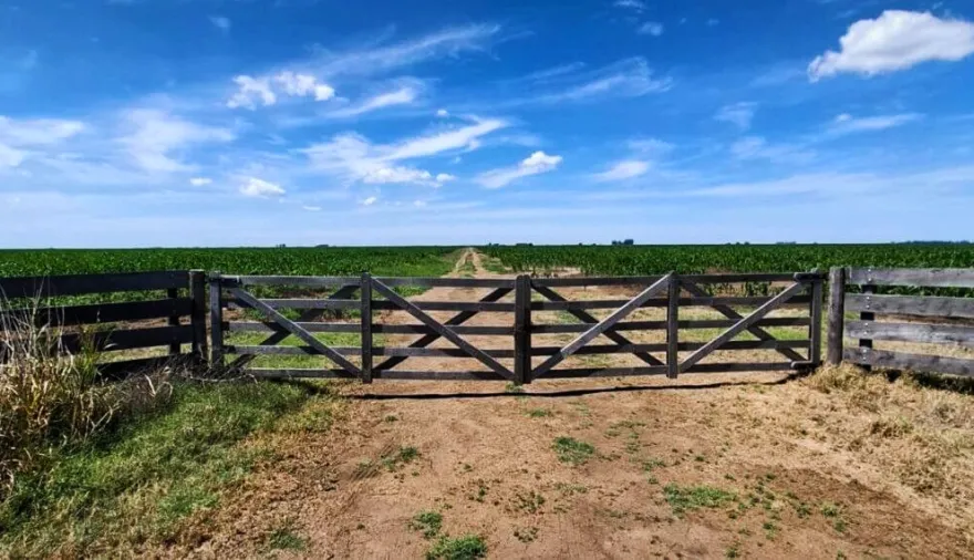 La Justicia dio lugar a la cautelar de la Defensoría y ordenó preservar los datos sobre tierras rurales bonaerenses