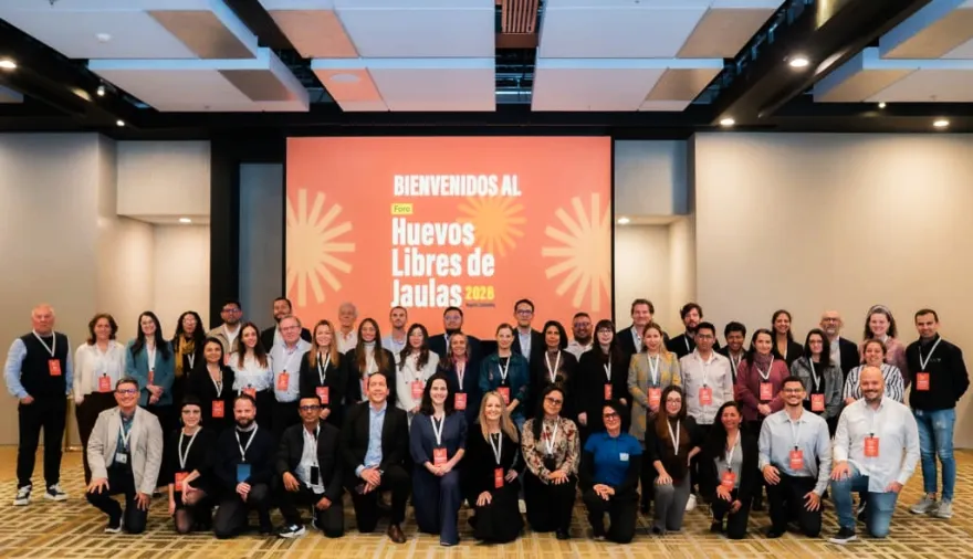 Huevos libres de jaulas: miles de empresas impulsan una transformación en la industria alimentaria mundial