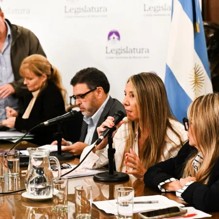 Se reunieron cinco comisiones en la Legislatura porteña para avanzar en diversos proyectos