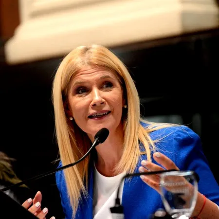 Magario cargó contra los cambios que quiere Milei en la Ley de Discapacidad y alertó por los riesgos