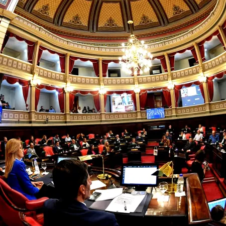 El Senado se pone en ritmo: primera sesión del año y suma una cara nueva