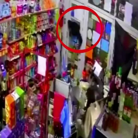 Patadas y cabezazos para romperá una puerta y robar un almacén de Mar del Plata