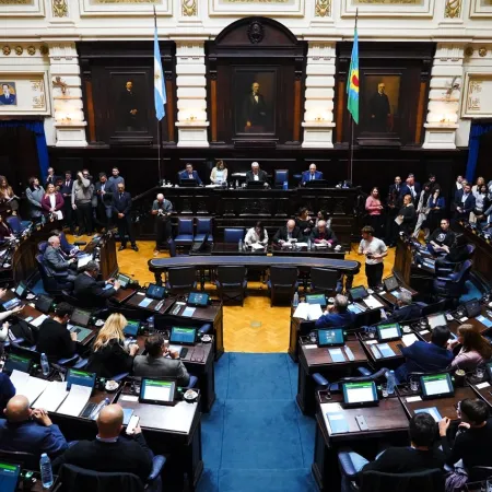 Diputados bonaerenses: avanza una ley para fortalecer derechos de personas con síndrome de Down