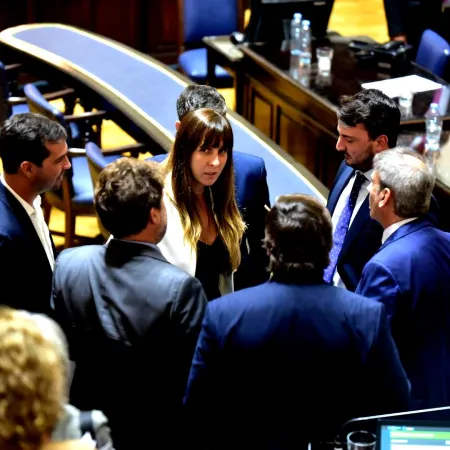 Mirá la lista completa: así quedaron conformadas las comisiones de Diputados bonaerense