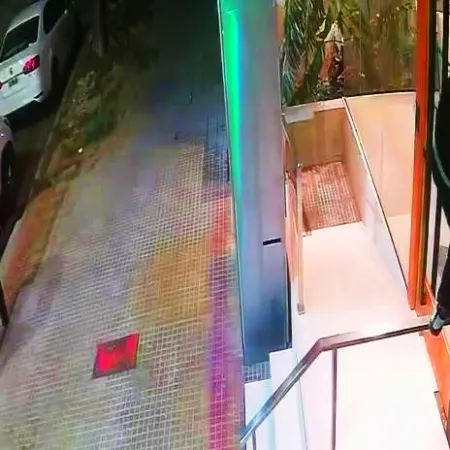 La Plata es una jungla: con la agilidad de un mono robaron un vehículo en un garaje