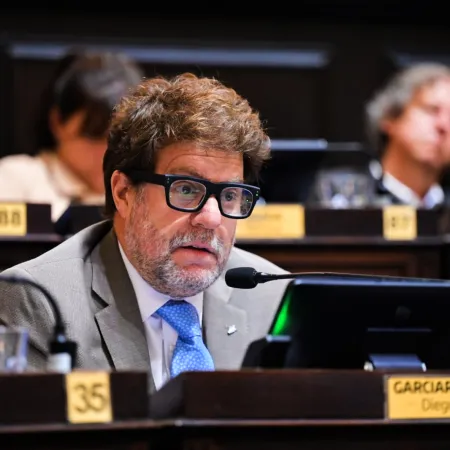 Designación en Diputados bonaerense: Garciarena se suma al Consejo de la Magistratura