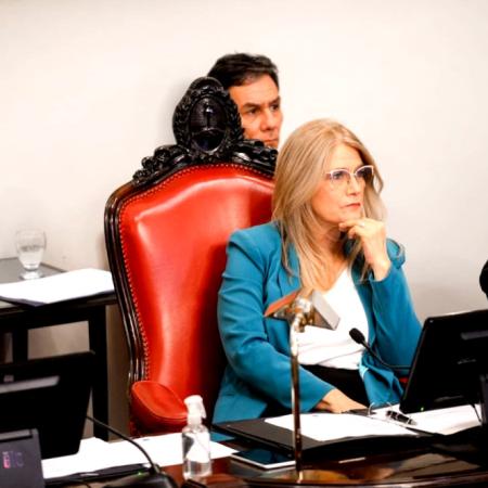 Con puntos llamativos, el Senado bonaerense definió las comisiones
