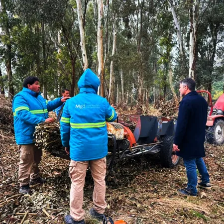 Hourcade avanza con la recuperación del Monte de Empalme en Magdalena