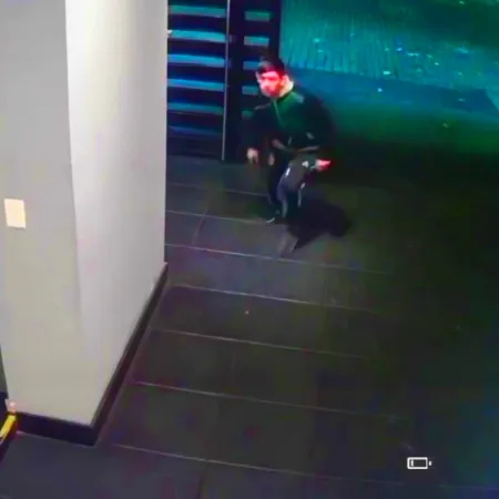 Con una llamativa y disimulada maniobra, robaron vehículos de un garaje en CABA
