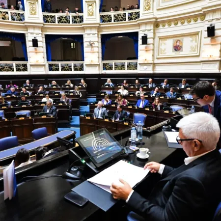 En medio de la disputa por los fondos municipales, la oposición consiguió una sesión por la crisis de IOMA