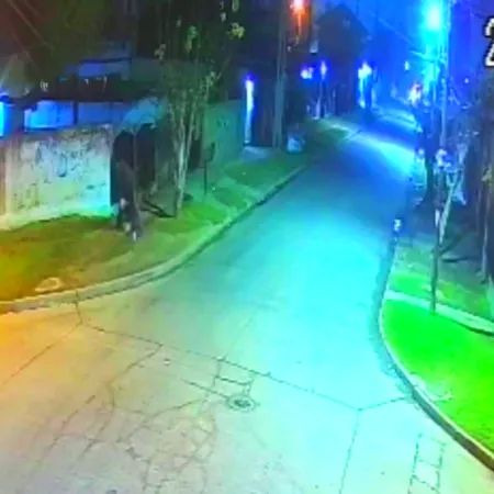 Iba a tomar el colectivo cuando motochorros madrugadores lo patearon y robaron todo