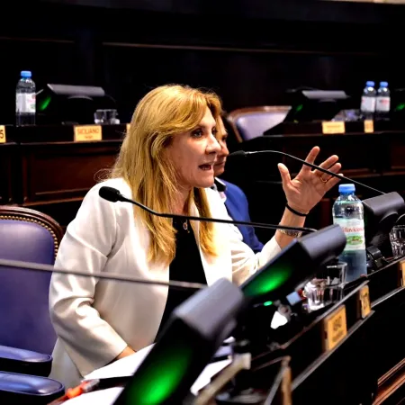 Los bloques de la UCR condenaron a Kicillof tras la caída de la sesión por IOMA en Diputados bonaerense