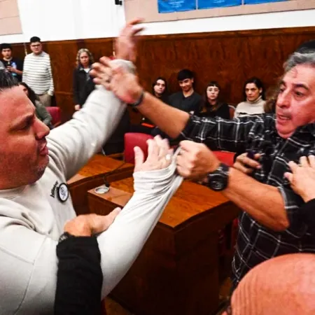 Piñas, insultos y suspensión: escándalo en el Concejo Deliberante de Mar del Plata