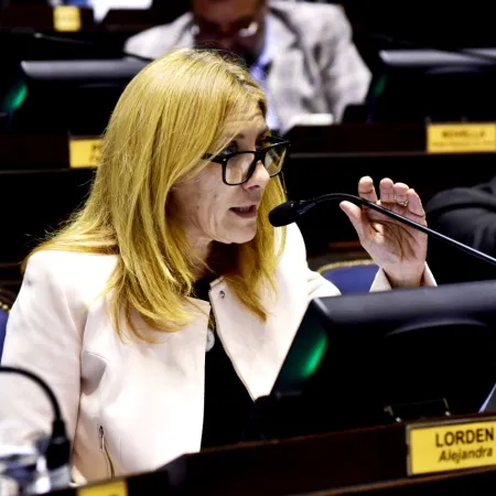 Crisis de IOMA: Lordén habló de la sesión caída y alertó por las deudas de la obra social con el Garrahan