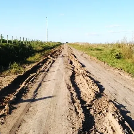 Proponen destinar el 65% del Impuesto Inmobiliario Rural a la mejora de caminos bonaerenses