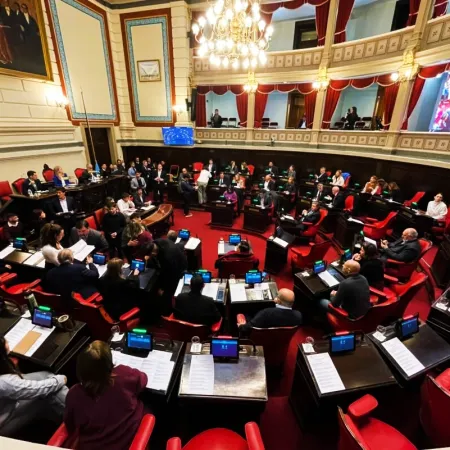 El Senado bonaerense avanzó con las designaciones para el Consejo de la Magistratura