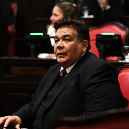 Ishii mete presión en el Senado y busca avanzar con las Emergencias Alimentaria y Sanitaria