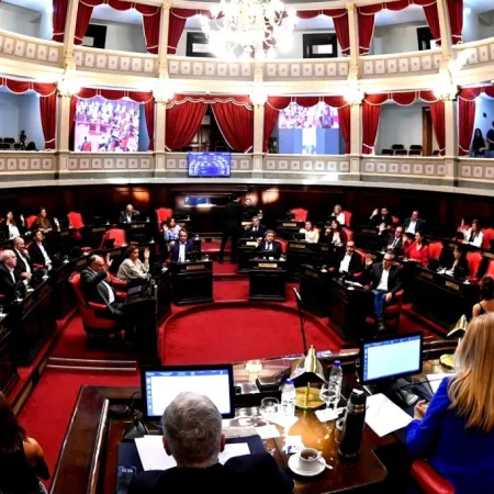 El Senado bonaerense activó el tratamiento de más de 300 proyectos clave