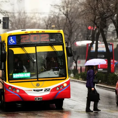 Aumentos en los colectivos de La Plata: cuánto valdrá el boleto a partir del 1° de julio