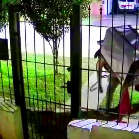 Llave en mano y con la modalidad hormiga, desvalijaron una vivienda en Pergamino