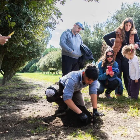 Destinos bonaerenses: la experiencia más sorprendente del invierno está escondida en Azul