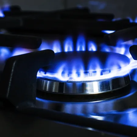 Milei patea los cambios en el régimen de Zona Fría para después de las vacaciones de invierno