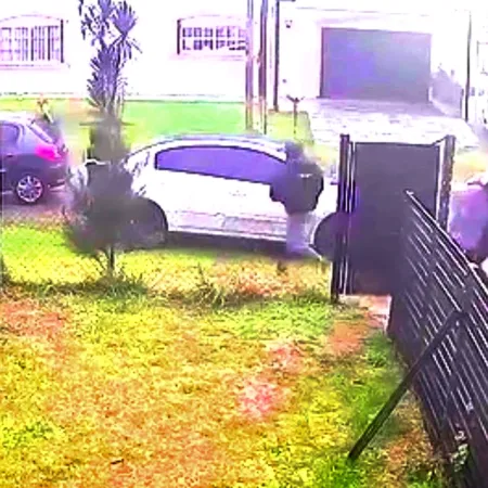 Una banda de pirañas atacó a una pareja en Mar del Plata