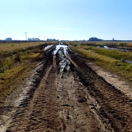 El campo bonaerense entra en alerta: la cosecha sigue frenada por los caminos rurales