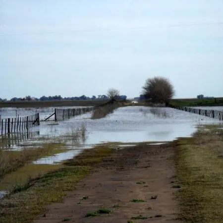 9 de Julio: el campo corre al municipio y avanza con un proyecto por el estado de los caminos rurales