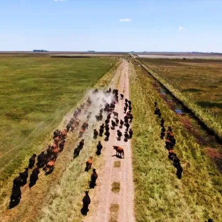 Un informe ubicó al municipio de Pila entre las ciudades bonaerenses líderes del Interior Agropecuario