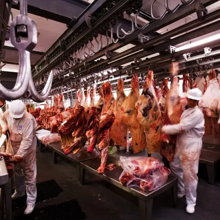 Puglelii alertó el avance de las importaciones de carne y su impacto en la producción local