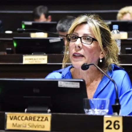 Vaccarezza se mostró en contra de las reelecciones y aseguró que hay otros temas más importantes