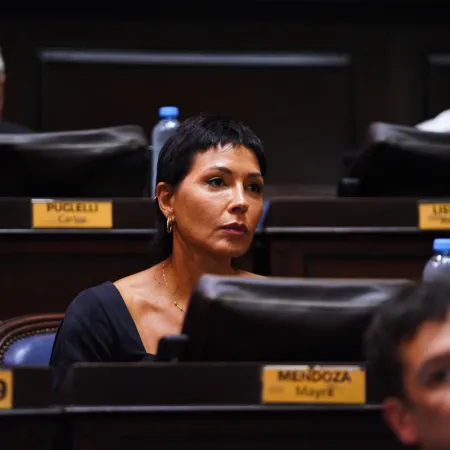 Mayra Mendoza cuestionó las dificultades para vincular el CUD con la tarjeta SUBE