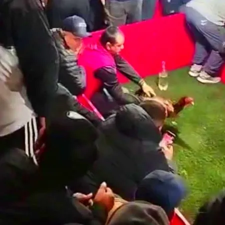 Cómo funcionaba la riña de gallos que la Policía Federal clausuró en Brandsen