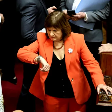 Bullrich fijó su postura y volvió a encender la interna libertaria en el Senado nacional
