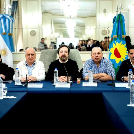 Kreplak fue al Senado y defendió los proyectos de Kicillof, pero la crisis del IOMA se coló en el debate
