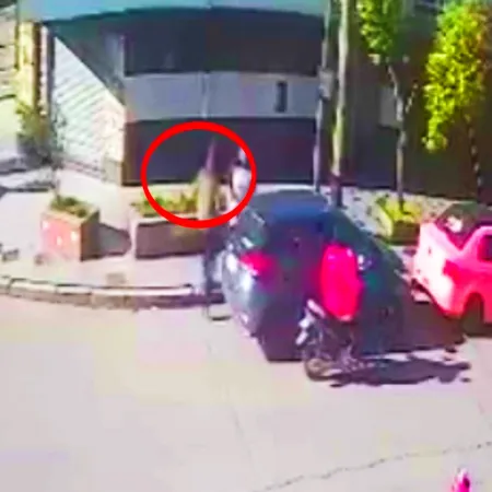 Arrastraron a una jubilada y en medio minuto robaron un auto en Mar del Plata