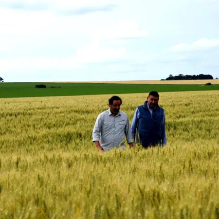 “Super Niño”: entre quejas y advertencias, el campo bonaerense disparó contra Milei y Kicillof