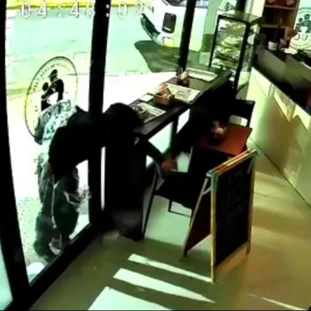 Atención "Cirque du Soleil": contorsionista robó una cafetería recién inaugurada