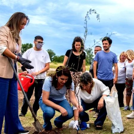 Desde el Senado bonaerense, proyectan una ley para llenar de árboles la Provincia de Buenos Aires