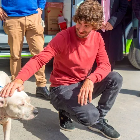 San Fernando le pone freno a la venta de mascotas en comercios