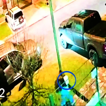Con una picana asaltaron a familia de Mar del Plata y la mujer rescató a los hijos