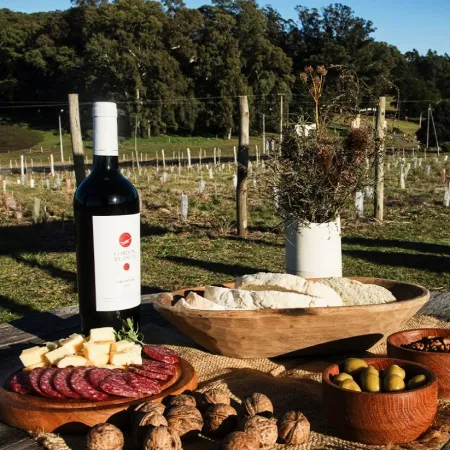 Destinos bonaerenses: septiembre llega con la primavera y experiencias vitivinícolas únicas