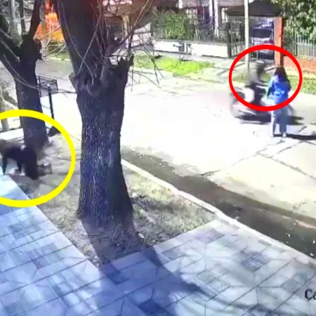 Robo automotor en Merlo: motochorros le arruinaron la noche a un grupo de amigas