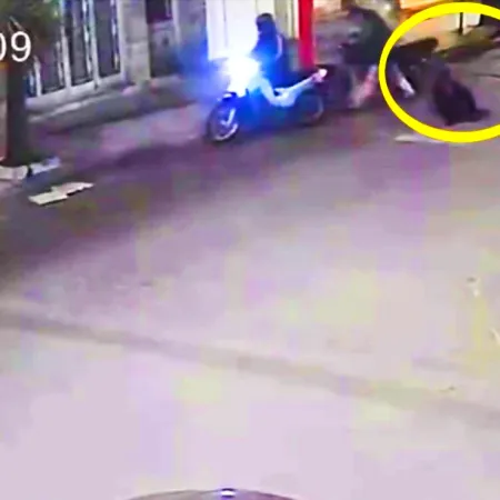 Mujer se peleó con ladrones y con arriesgada maniobra evitó que le roben el vehículo