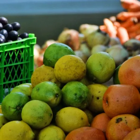 Chaves Municipio abre una nueva convocatoria para fomentar la producción frutícola en la Provincia