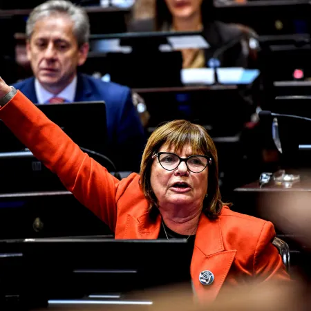 Sorpresa libertaria: Bullrich agitó la interna por los recortes en Discapacidad incluidos en el Presupuesto 2027
