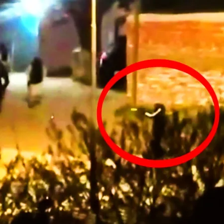 Cruenta balacera en "Fuerte Apache": bandas narcos están en guerra por el territorio