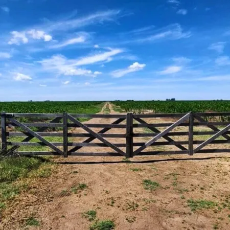 La Justicia dio lugar a la cautelar de la Defensoría y ordenó preservar los datos sobre tierras rurales bonaerenses