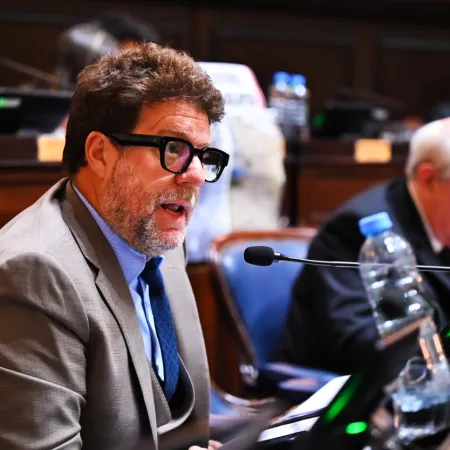 “Es un compromiso indelegable”: Garciarena celebró la media sanción para la libre disponibilidad del Fondo Municipal